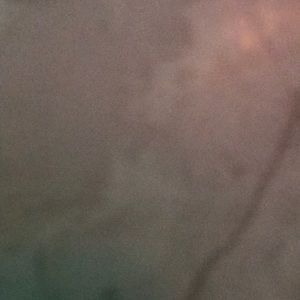 Meet your Posher, Cody